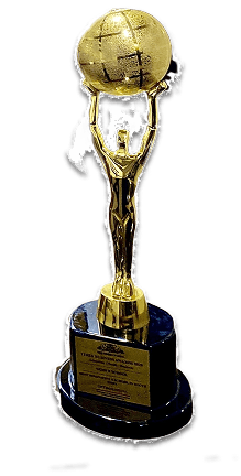 Times Now: Business Excellence Award